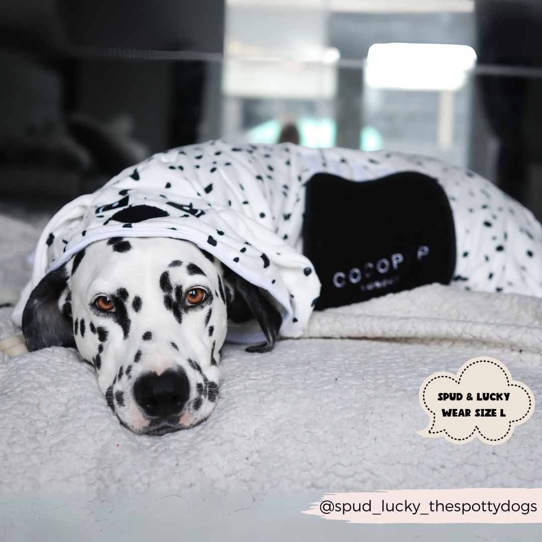 Peignoir de séchage dalmatien
