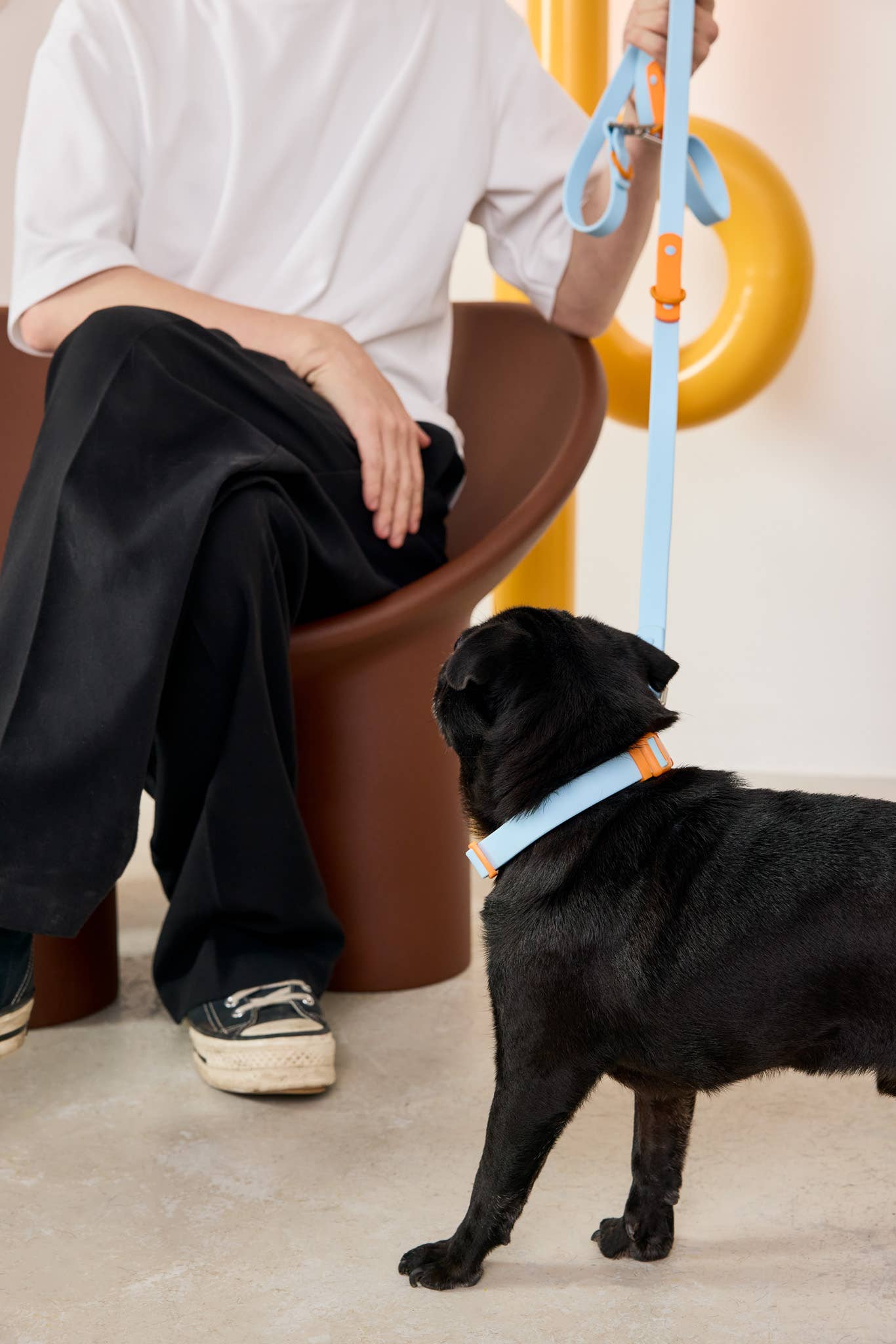 La laisse pour chien Fritz étanche, facile à nettoyer, réglable: Gris lilas / Norme