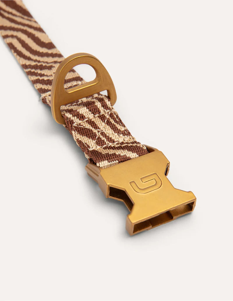 Collier zébre