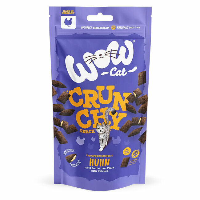 Friandises poulet pour chat