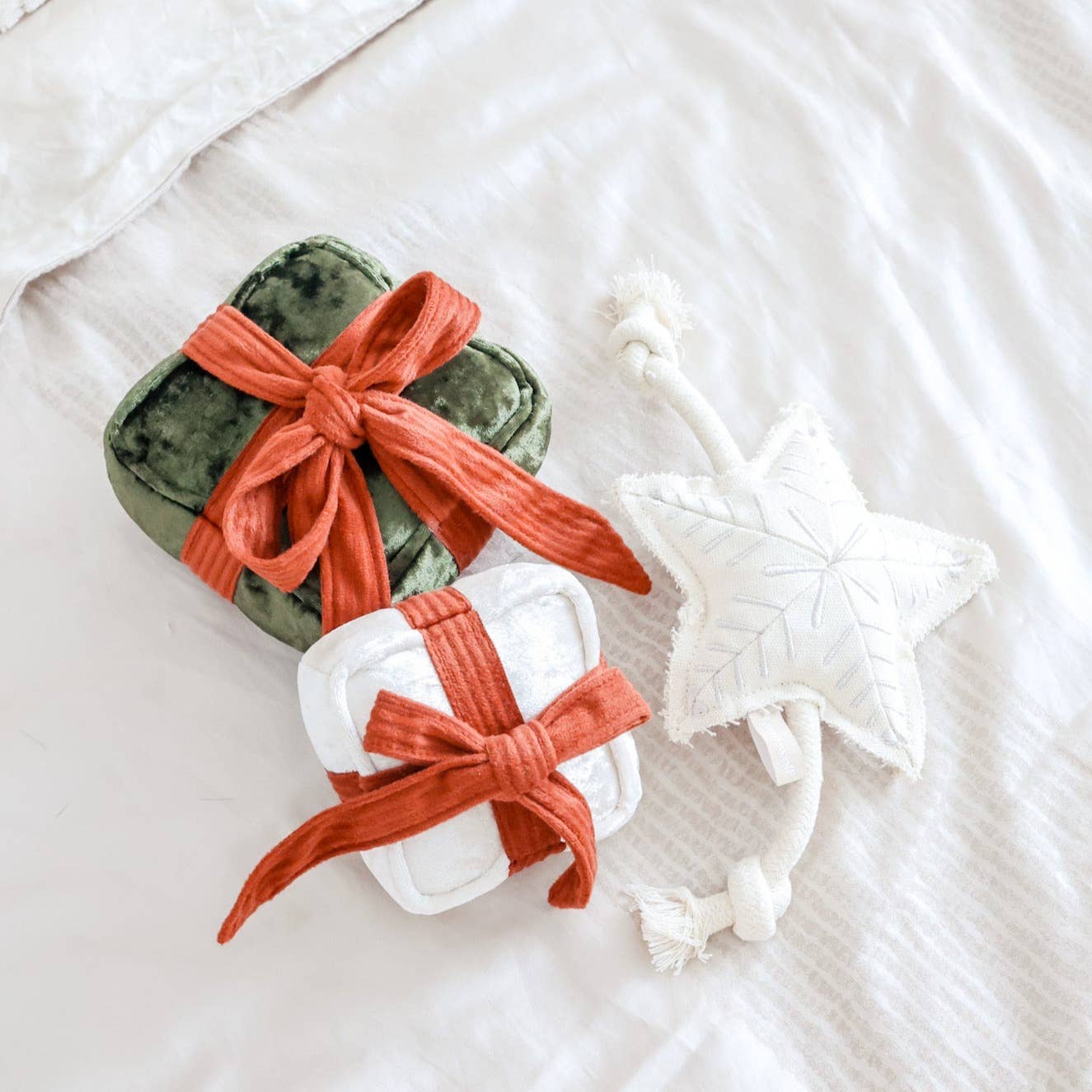 BOÎTE DE VACANCES | JOUET DE NOËL POUR CHIEN