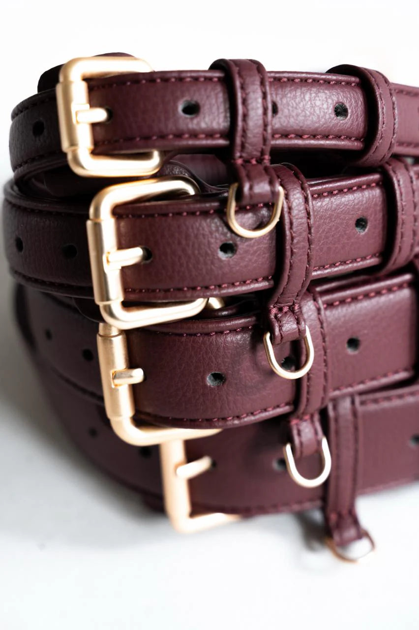 Collier pour Chiens - Cuir Végétal