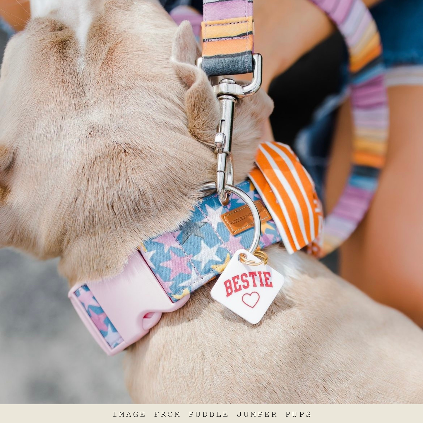 Étiquette pour animal de compagnie Bestie