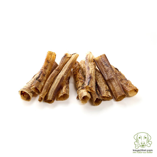 Trachées  d'autruche