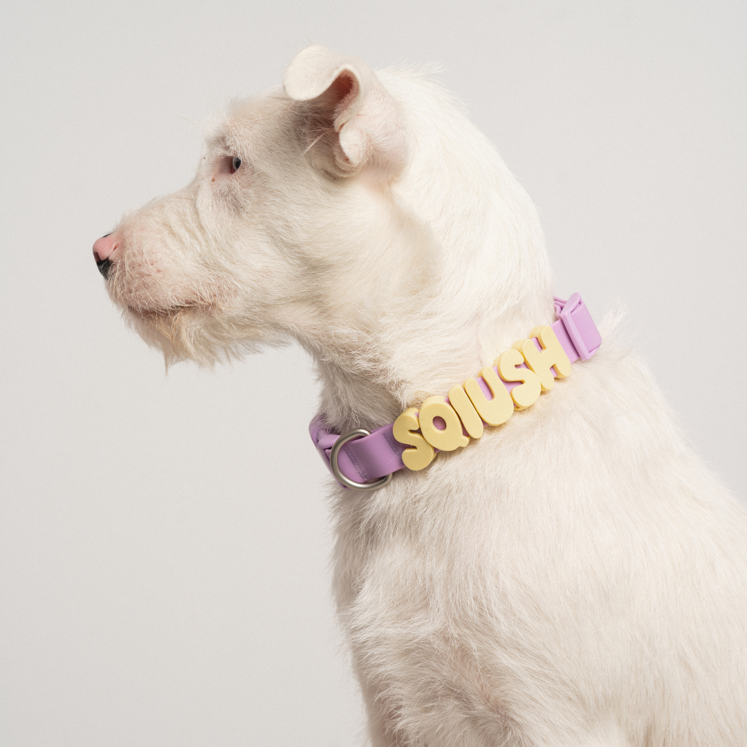 Charms lettres pour laisse ou collier