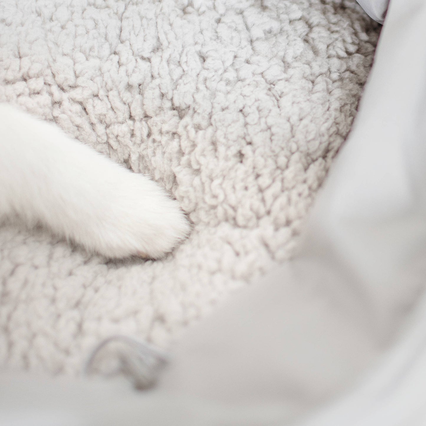 2-en-1 Sac de Transport Bandoulière et Panier Réversible