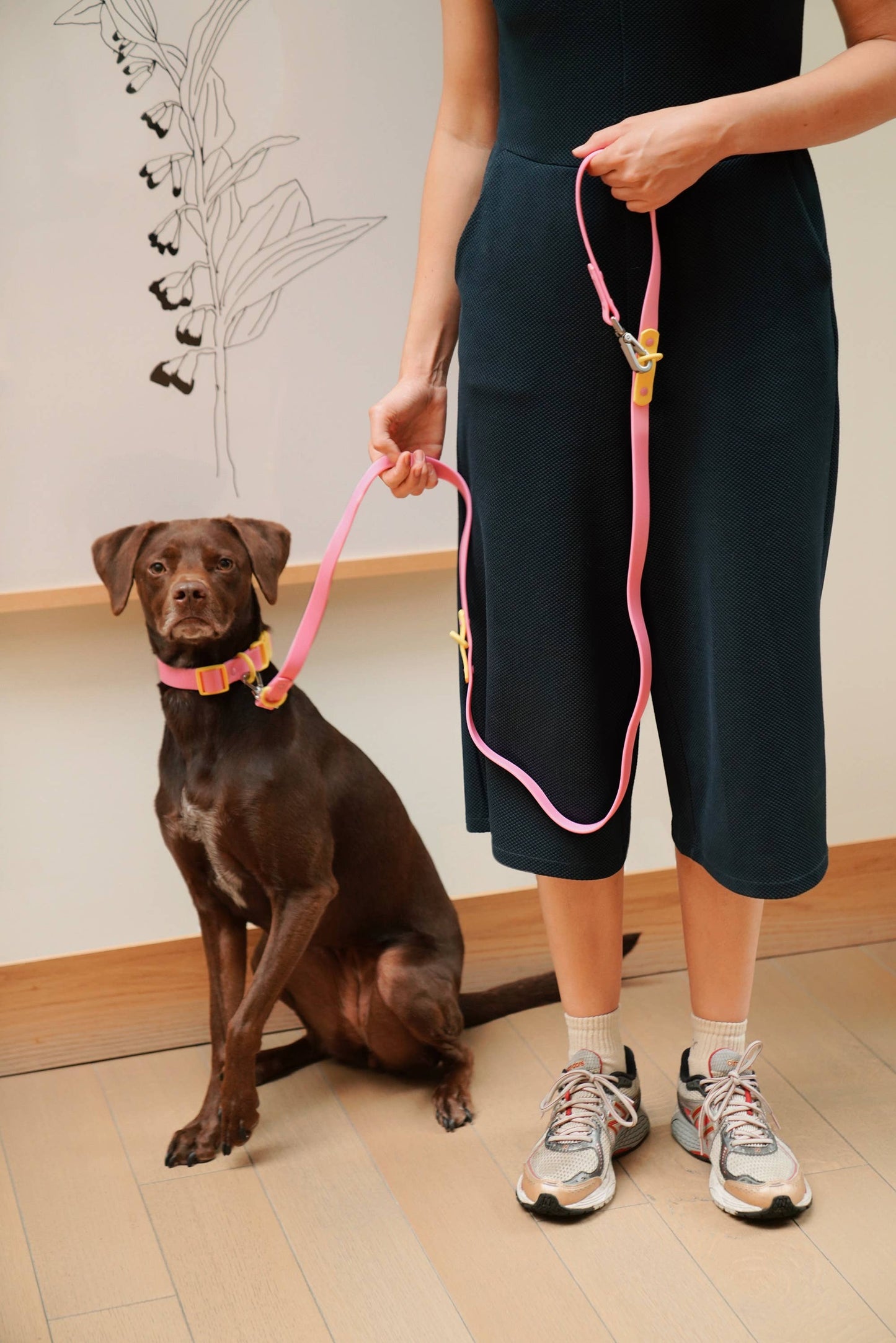 Laisse Multiposition pour Chien Imperméable