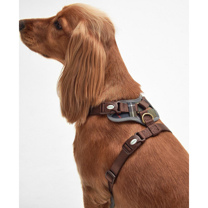 Harnais pour chien BARBOUR