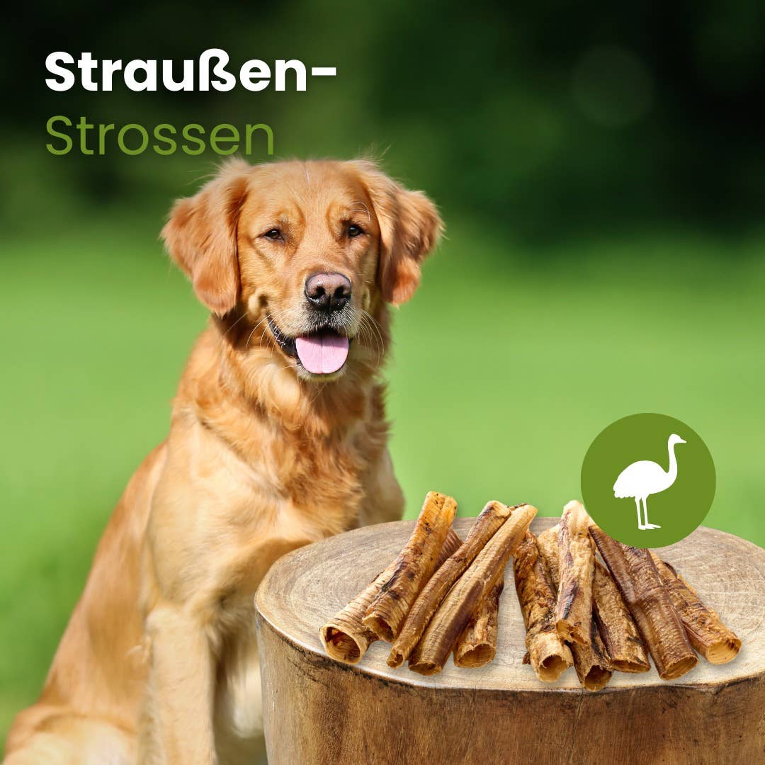 Trachées  d'autruche