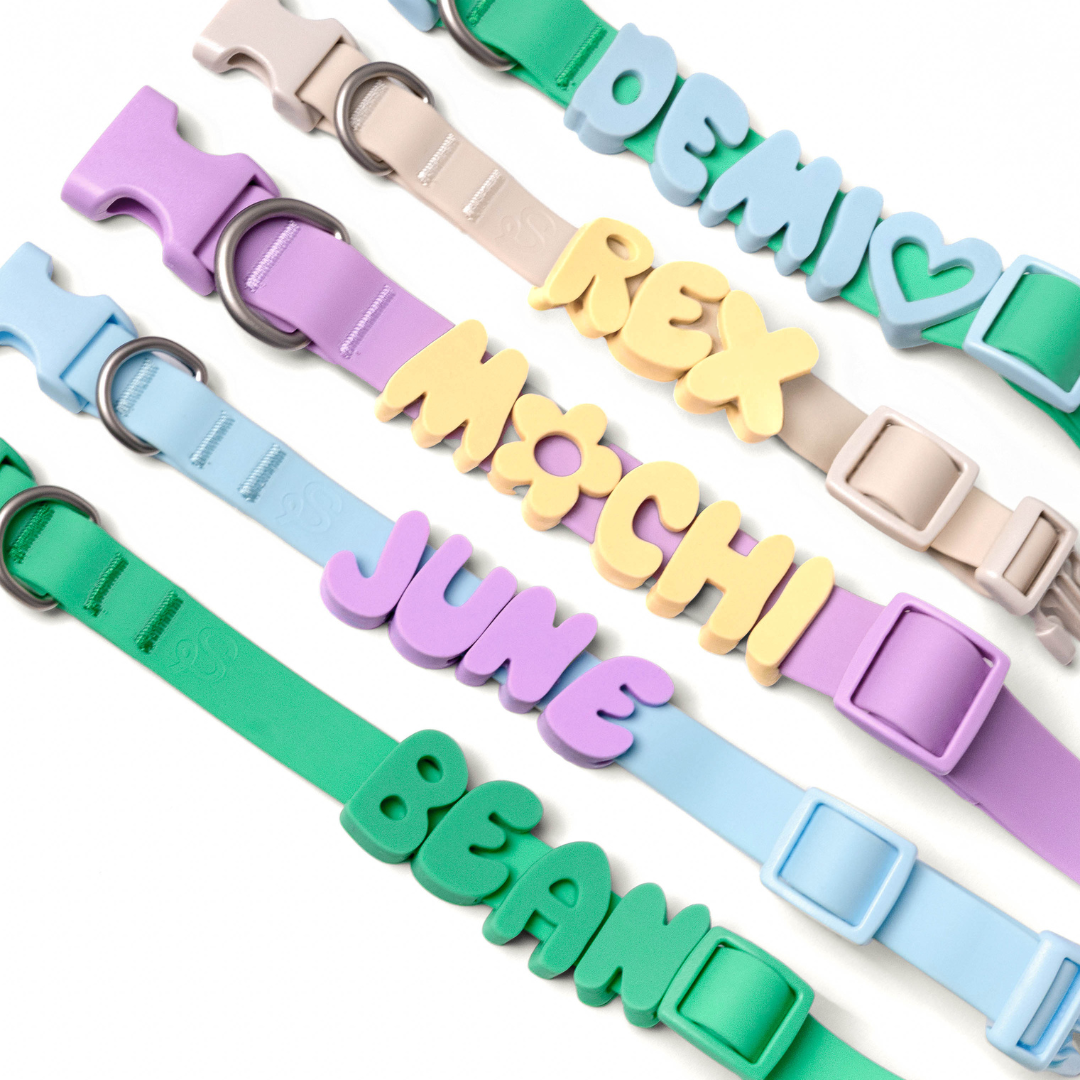 Charms lettres pour laisse ou collier