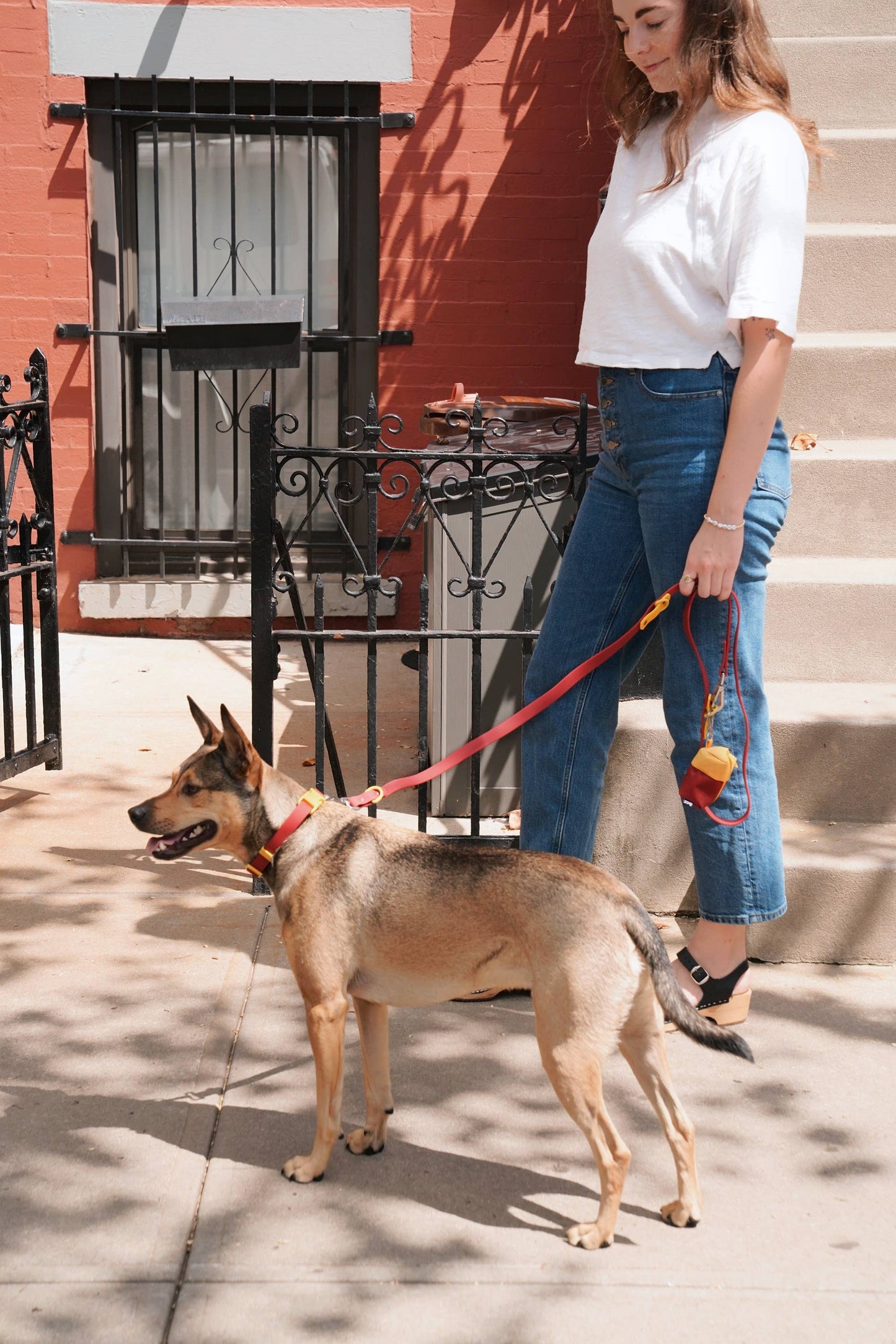 Laisse Multiposition pour Chien Imperméable