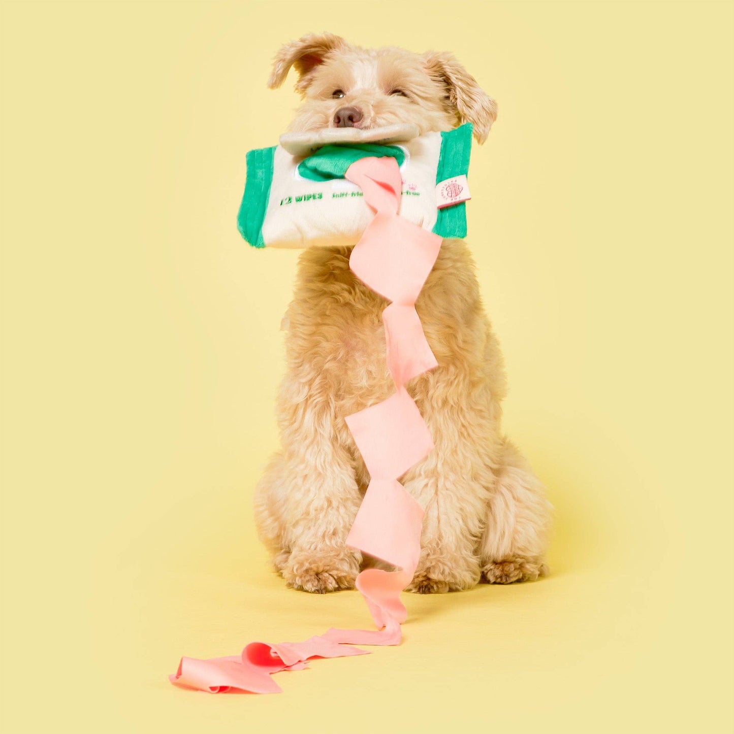 Jouet de fouille - Lingettes Doggo Wipe