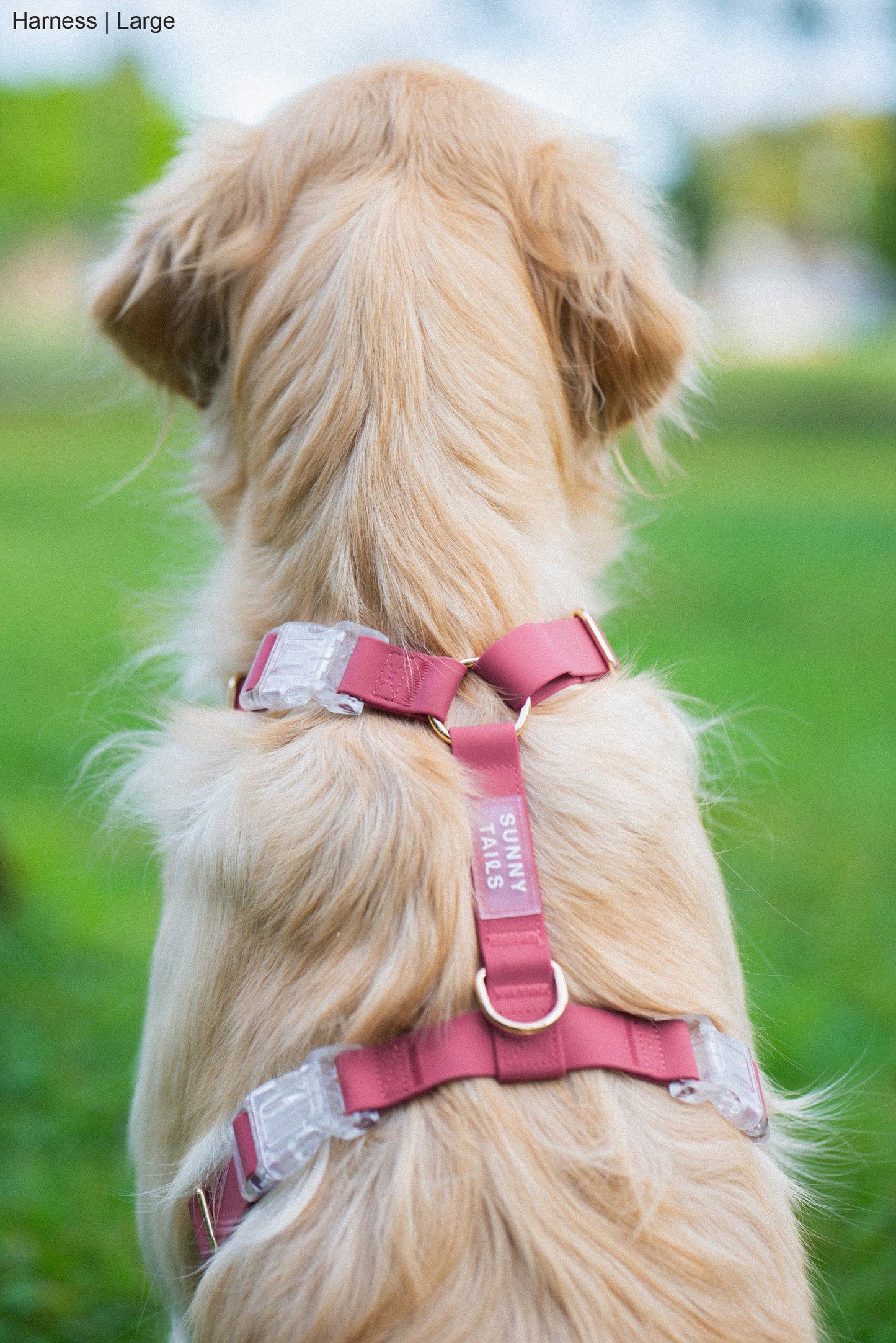 Harnais waterproof pour chien