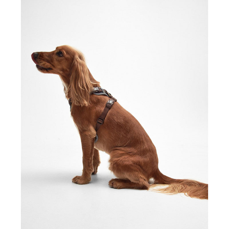 Harnais pour chien BARBOUR
