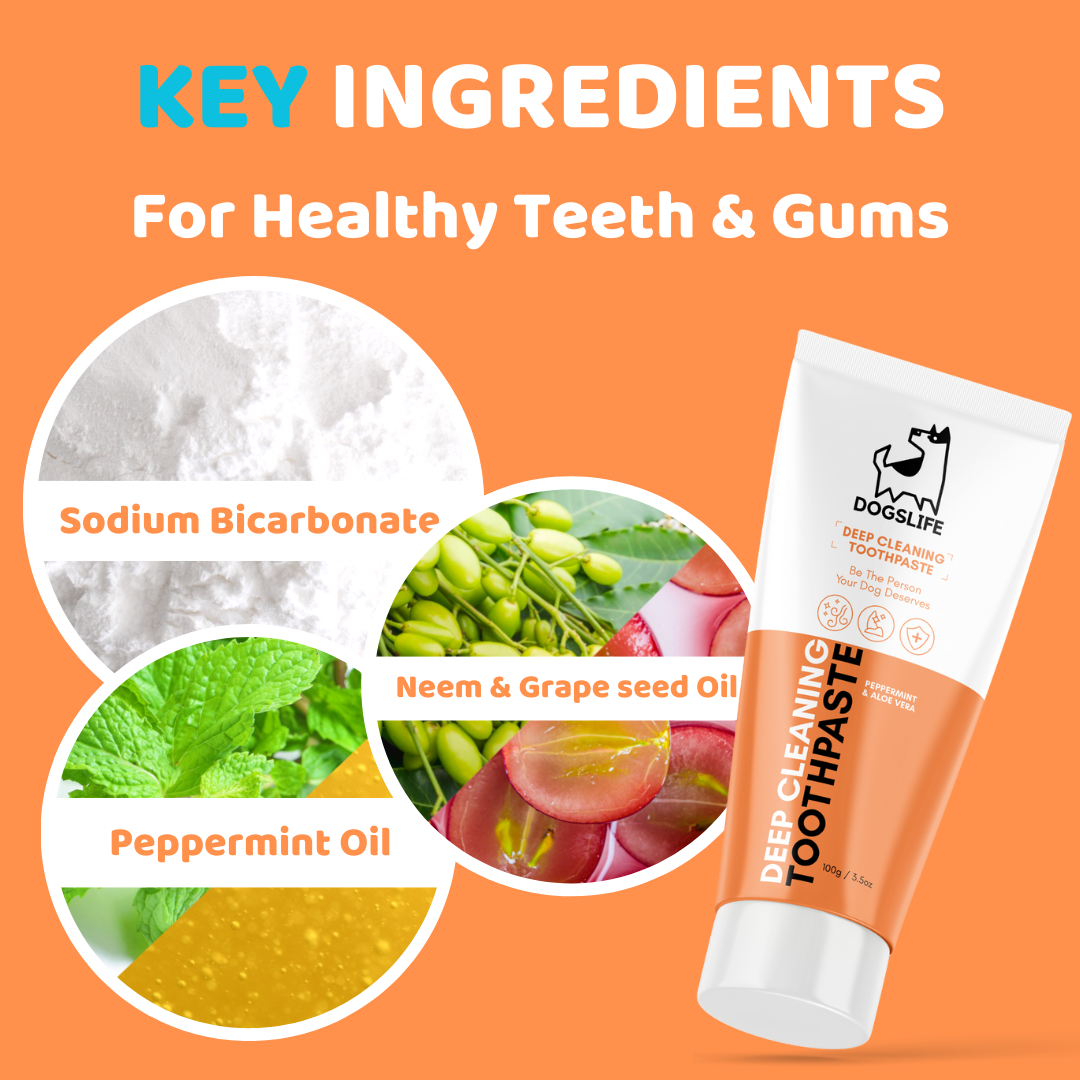 Dentifrice pour chiens