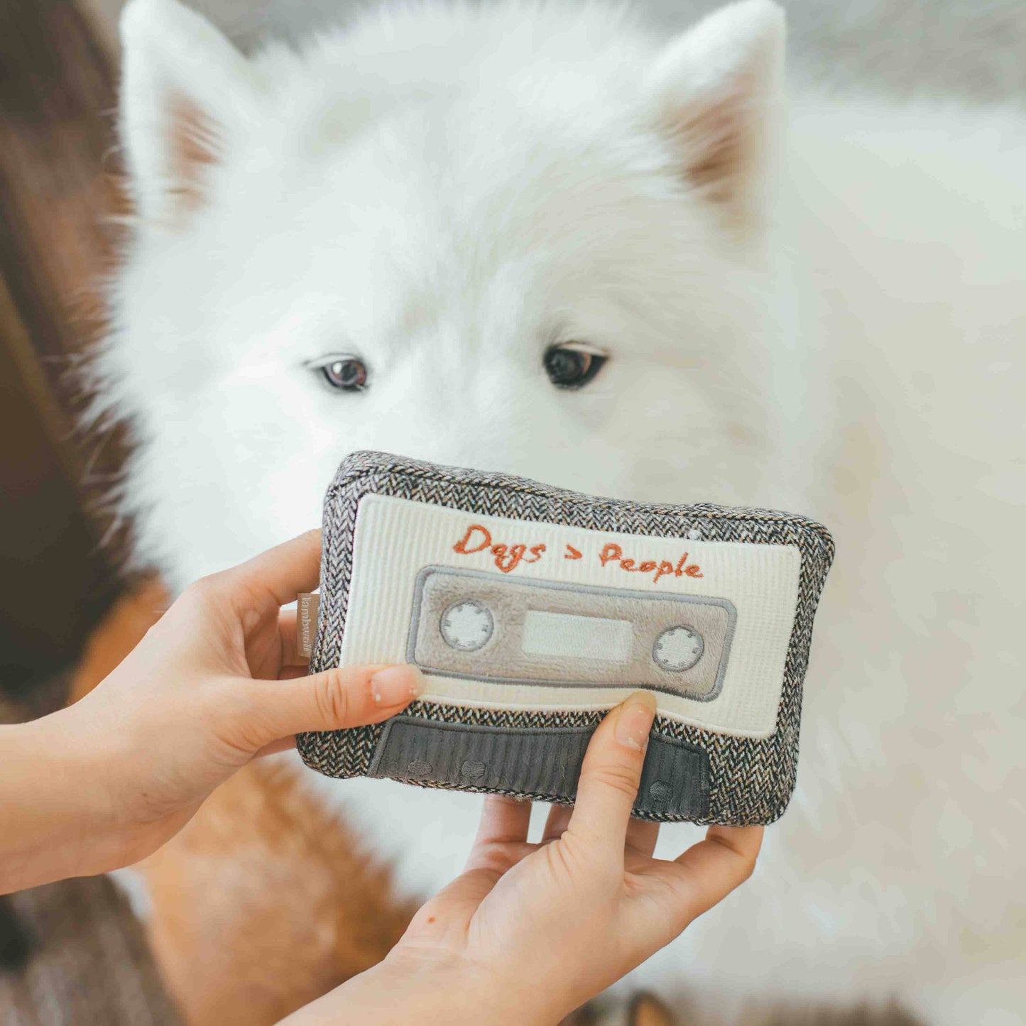 Jouet de Fouille Cassette