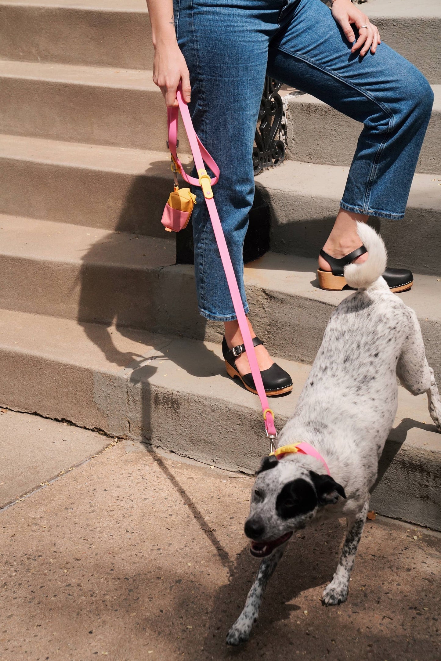 Laisse Multiposition pour Chien Imperméable