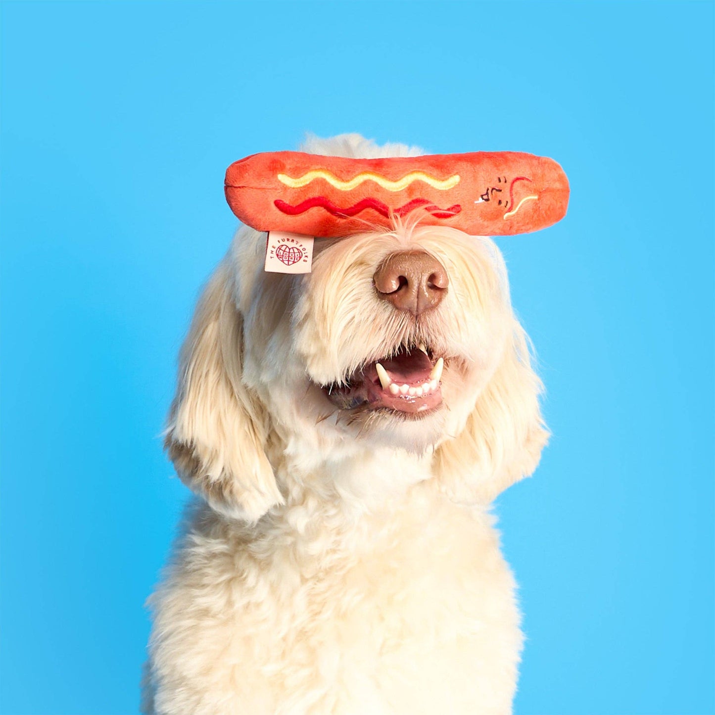 Jouet de fouille Hot Doggie