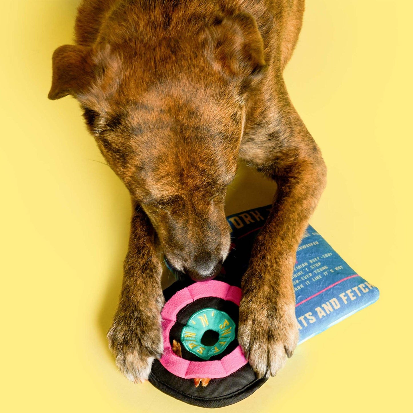 Jouet de Fouille Vinyle