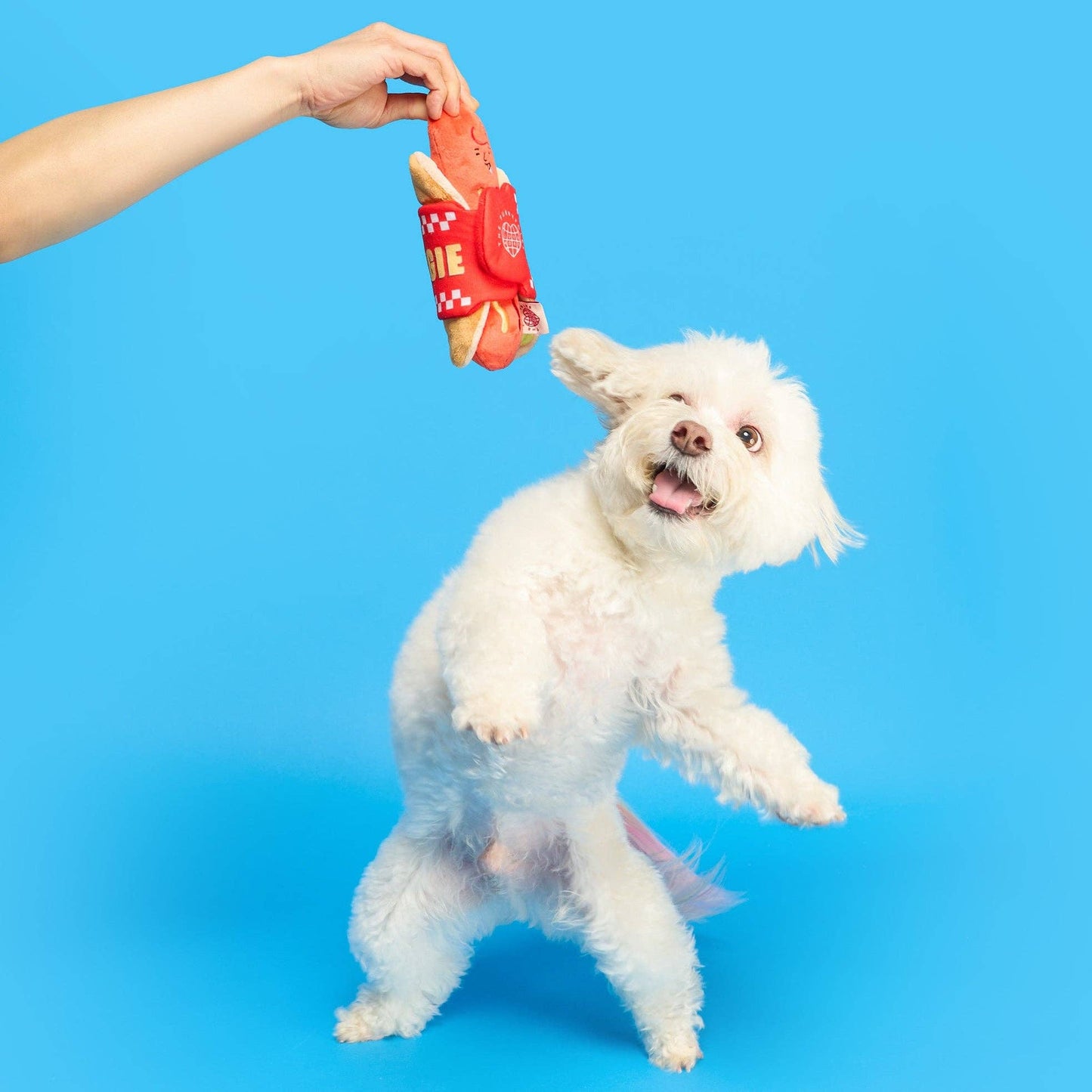 Jouet de fouille Hot Doggie