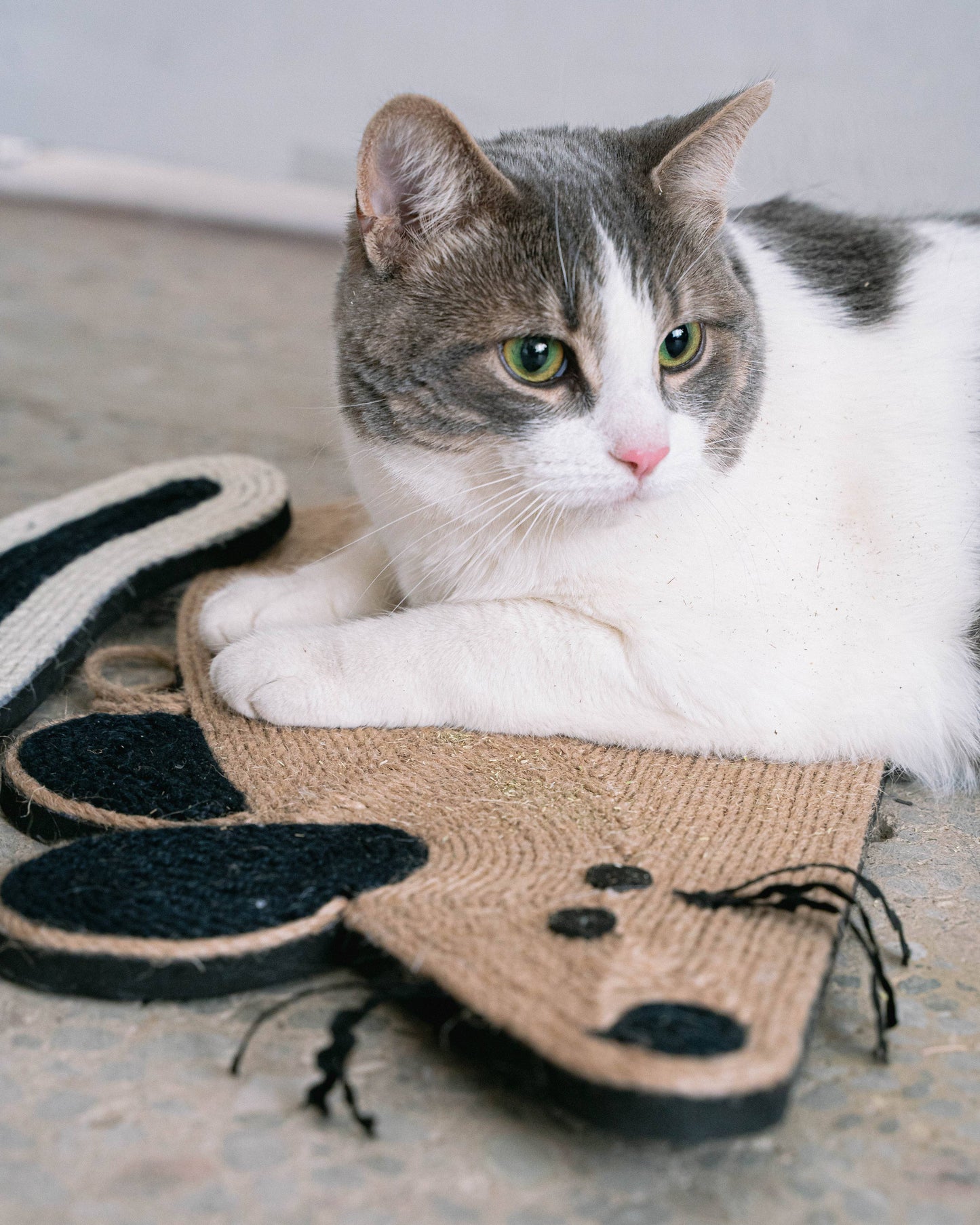 Souris Cat Scratcher avec Cat Nip