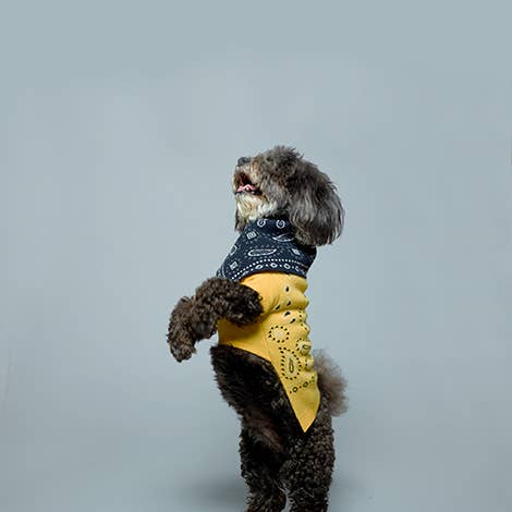 Bandana en tricot à imprimé bandana