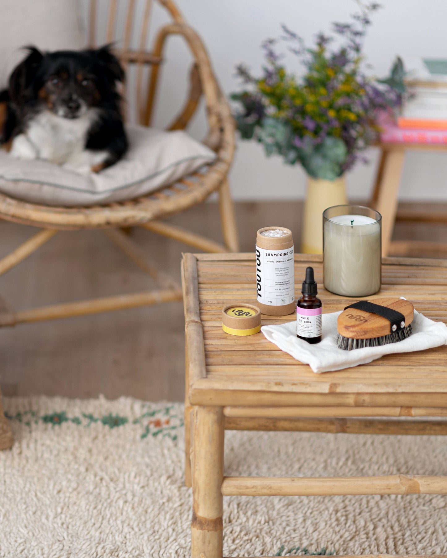 Huile de soin (peau et poils)