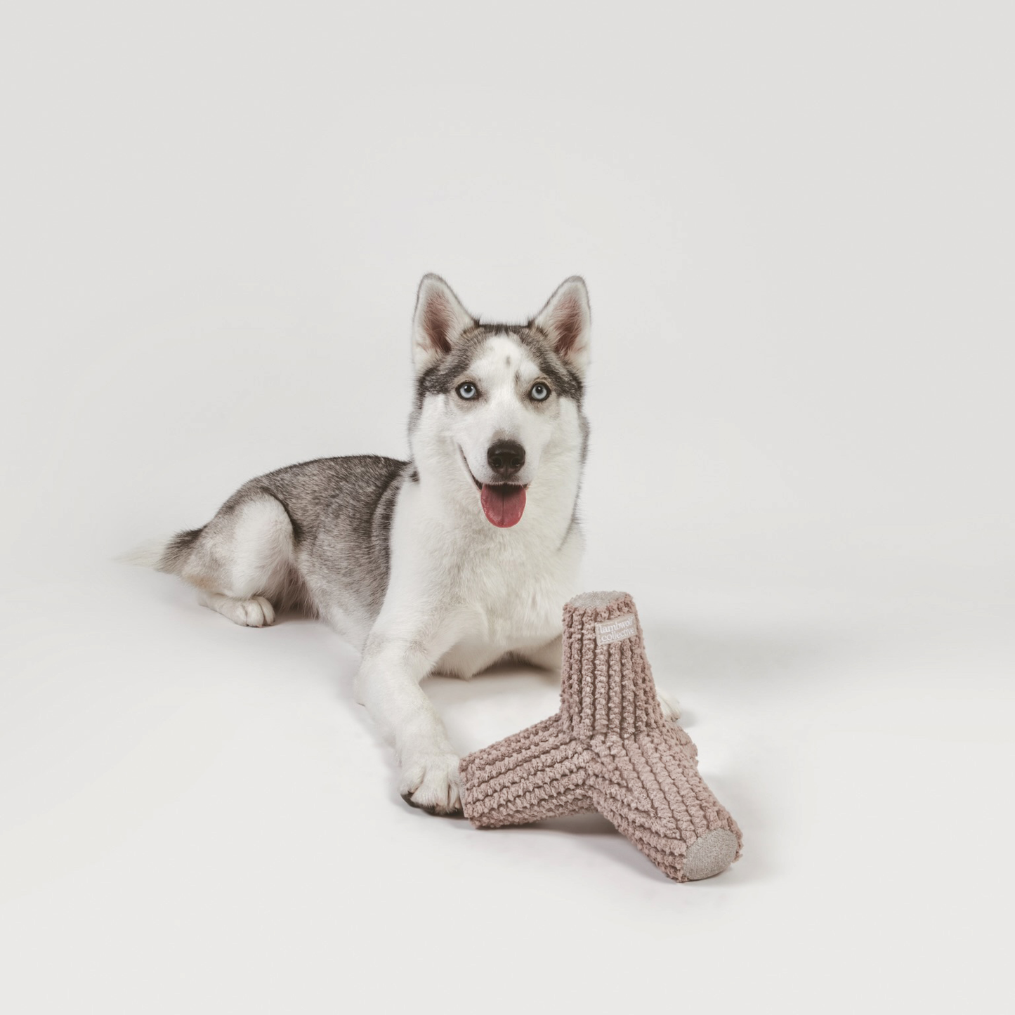 JOUET POUR CHIEN BREUER//ENRICHMENT