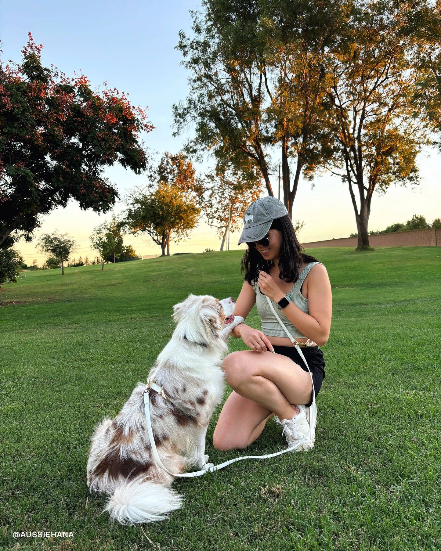 Harnais waterproof pour chien