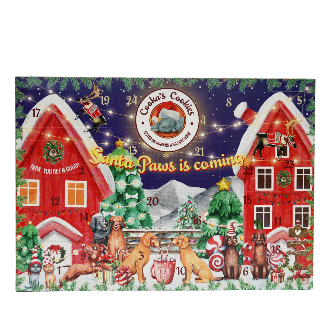 Calendrier de l'Avent de Noël pour chiens (édition premium)