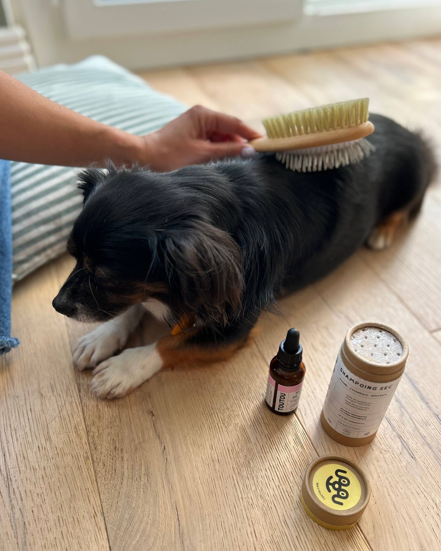 Brosse Double Face pour Chien