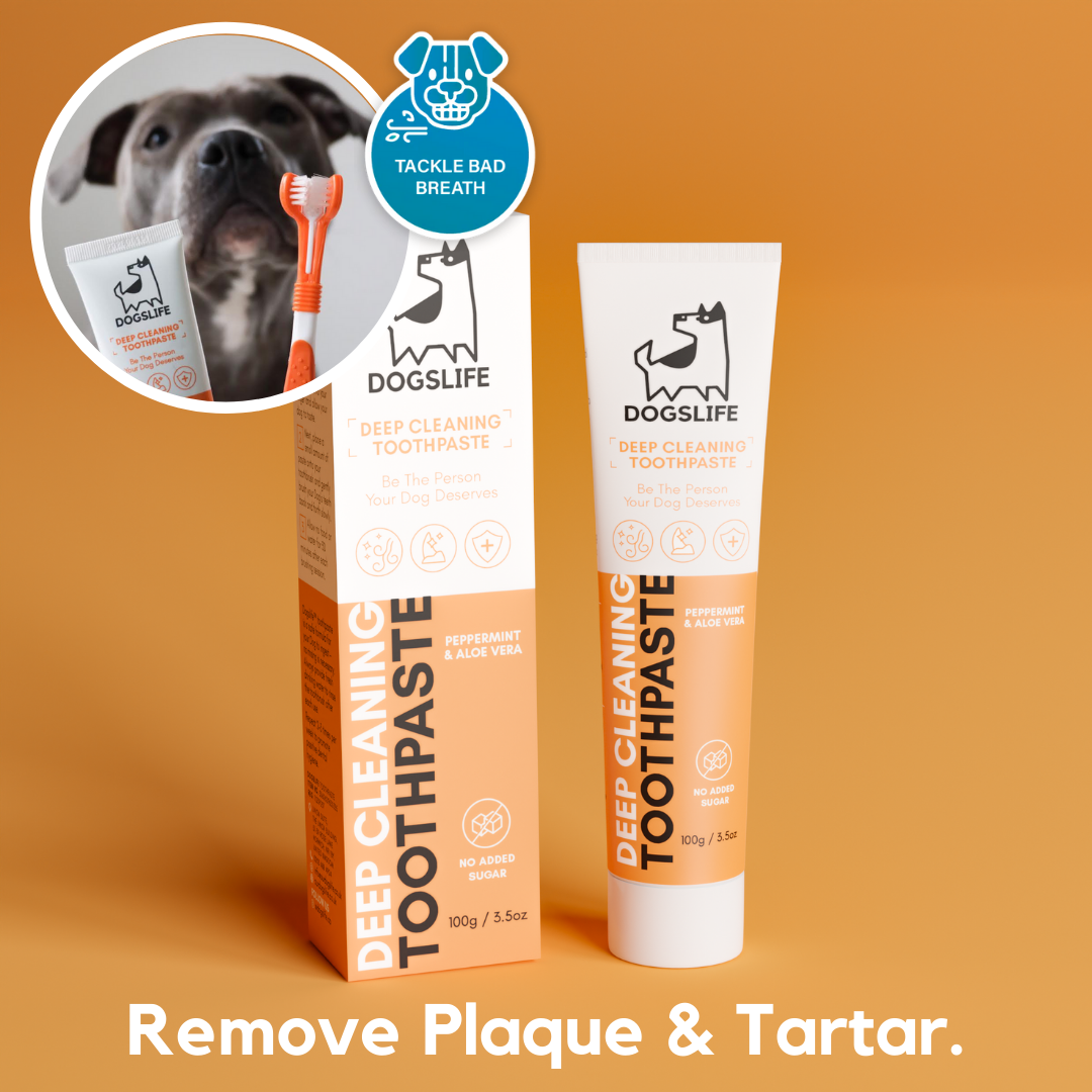 Dentifrice pour chiens