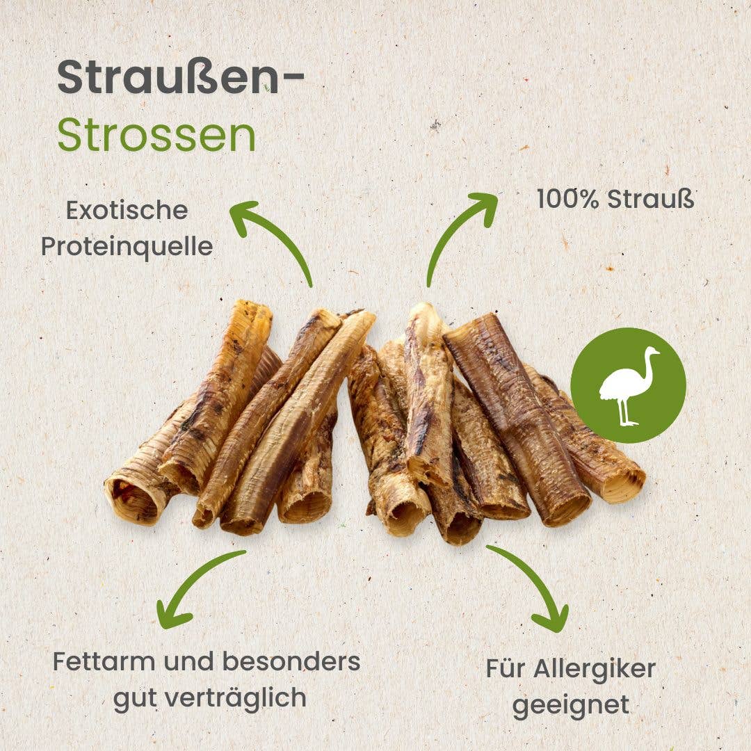 Trachées  d'autruche