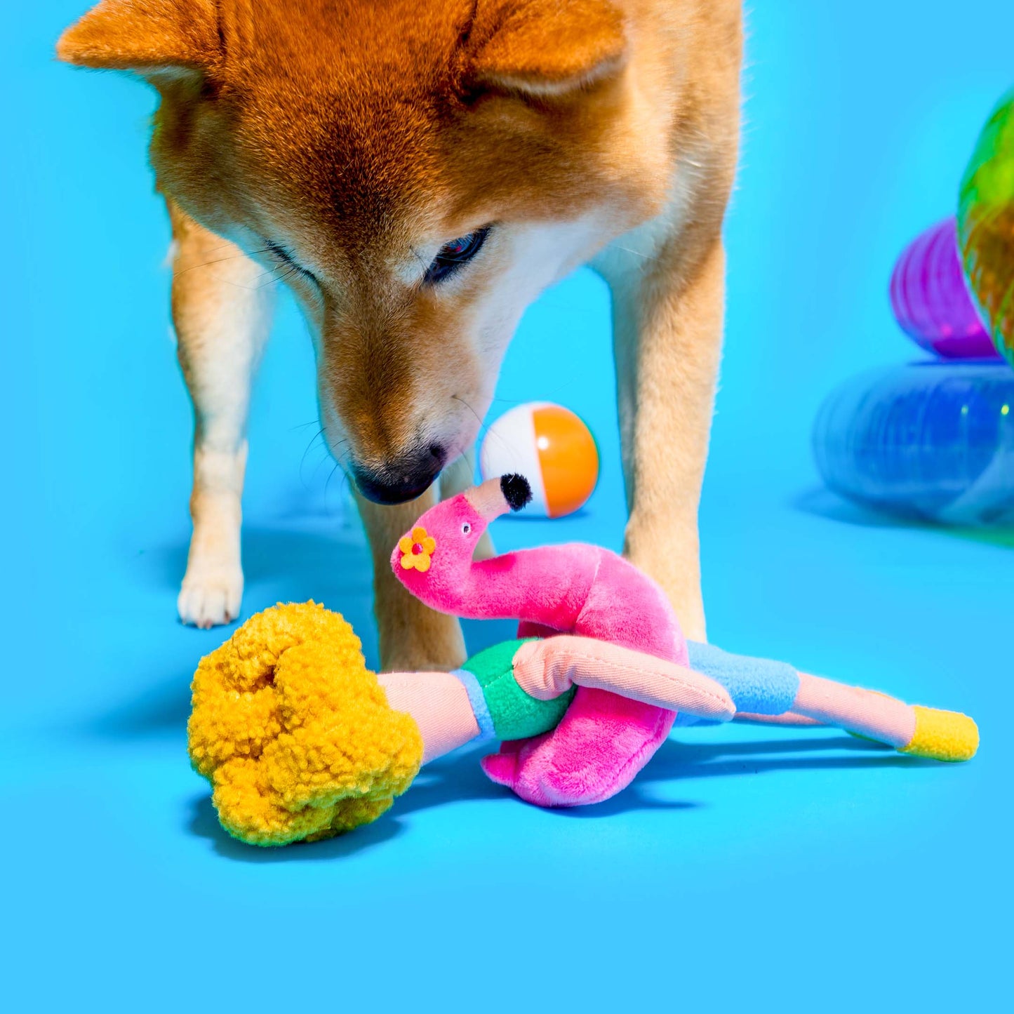 Jouet de fouille - Flamingo Hooman