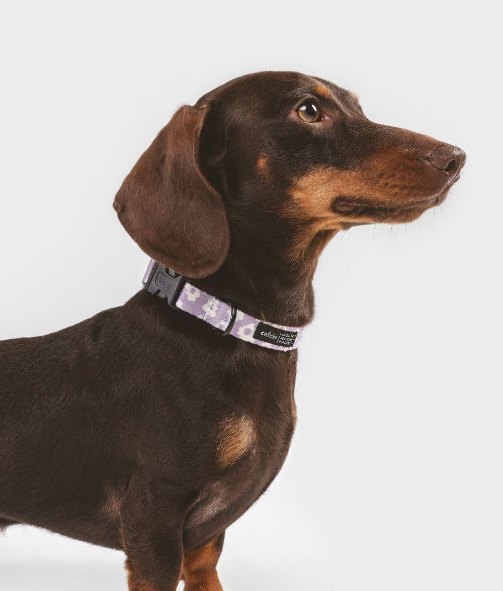 Collier en violet à fleurs