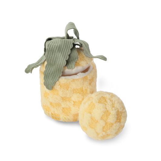 Ananas Magique 2 en 1