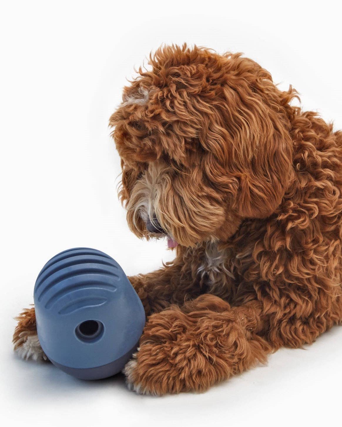 The Game™ Puzzle Feeder