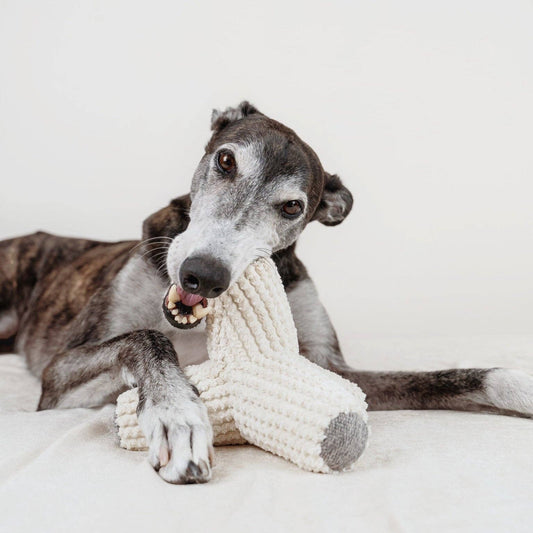 JOUET POUR CHIEN BREUER//ENRICHMENT