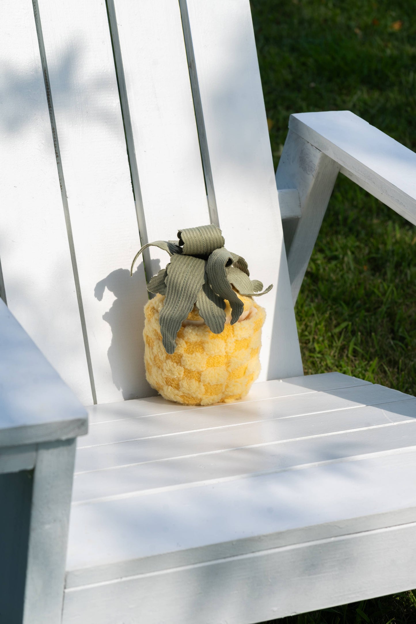 Ananas Magique 2 en 1