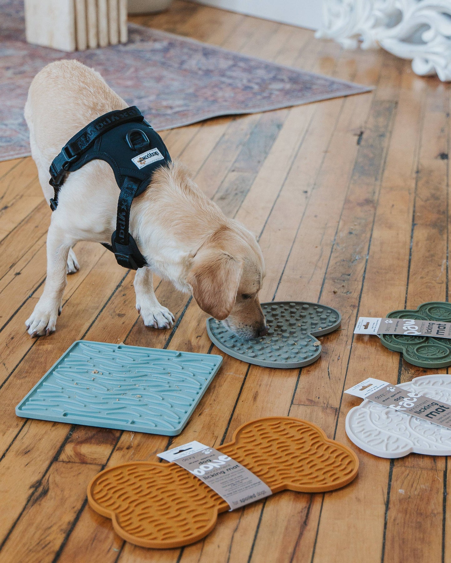 Tapis à lécher d'enrichissement en forme de cœur vert
