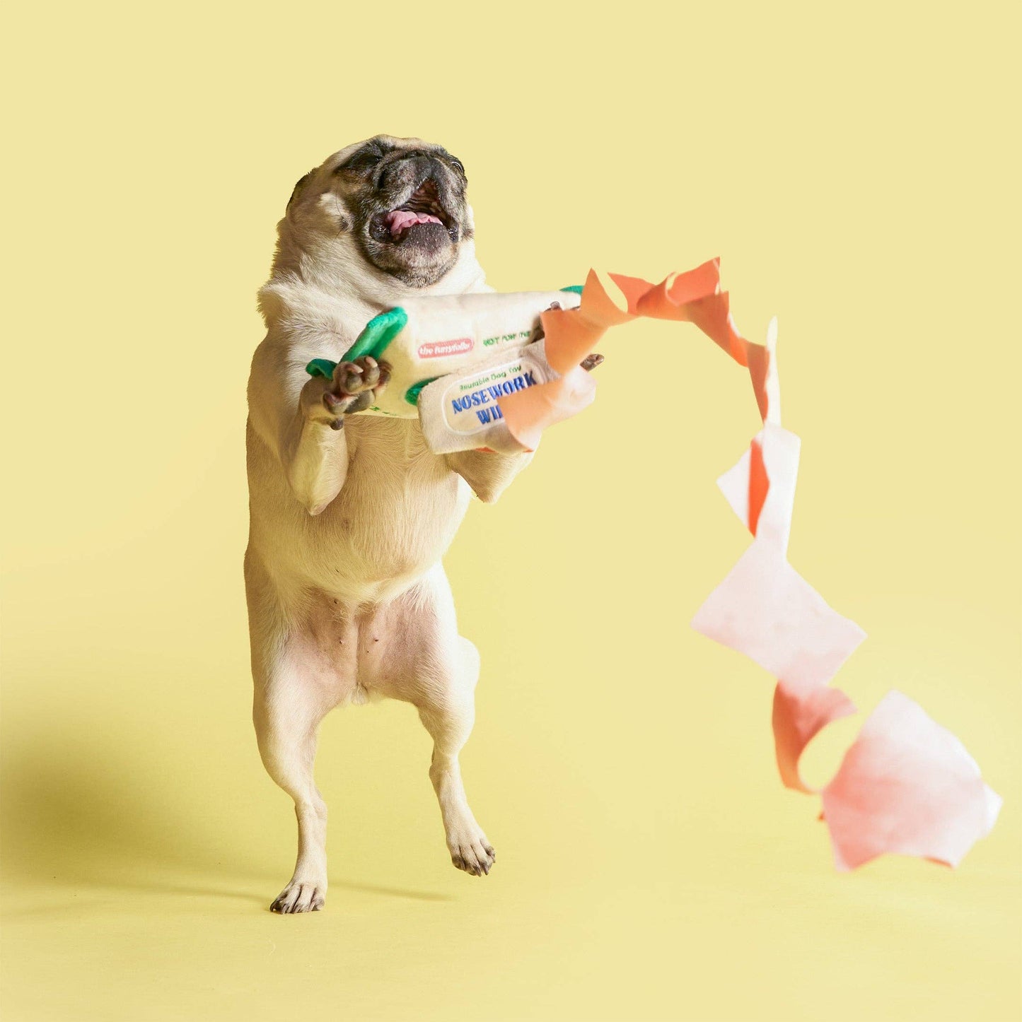 Jouet de fouille - Lingettes Doggo Wipe
