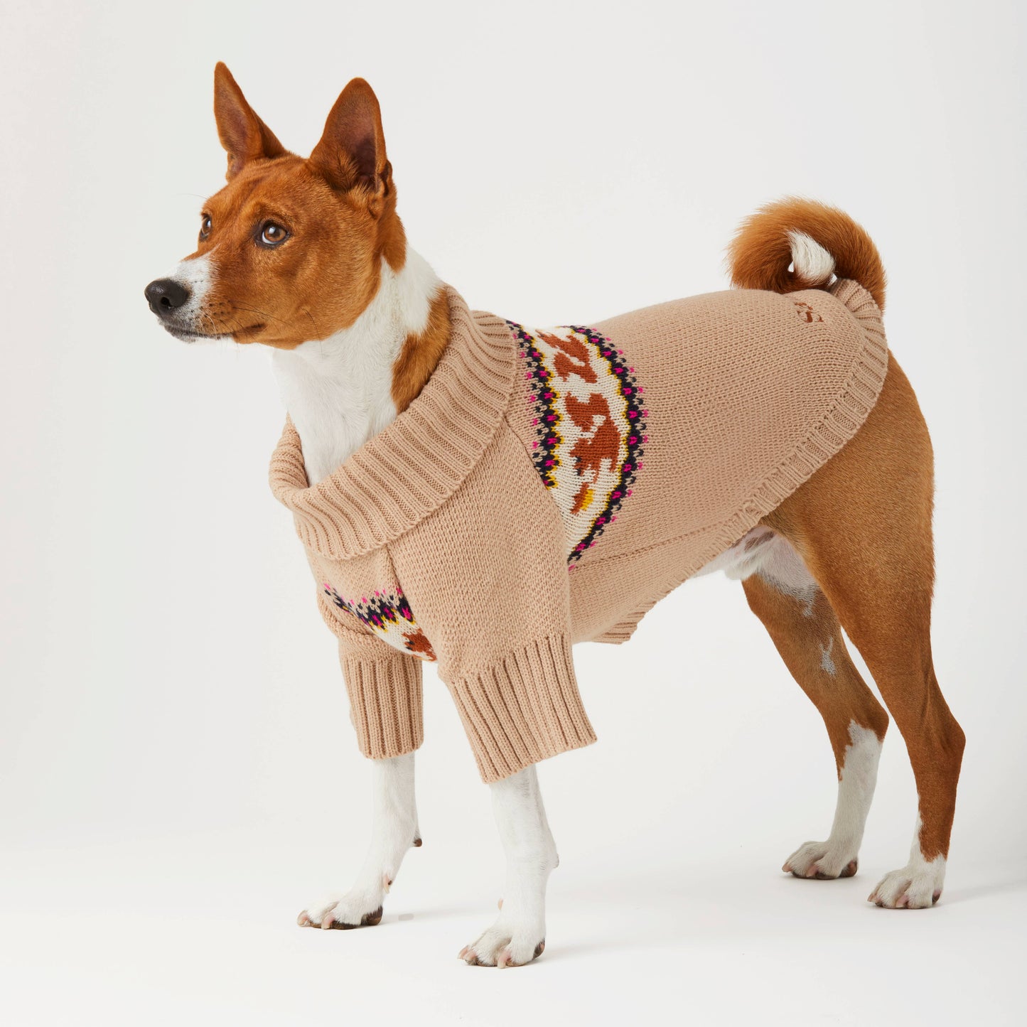 Pull tricoté pour chien avec motif écureuil