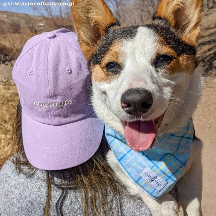 Casquette Lilas Dog Mom
