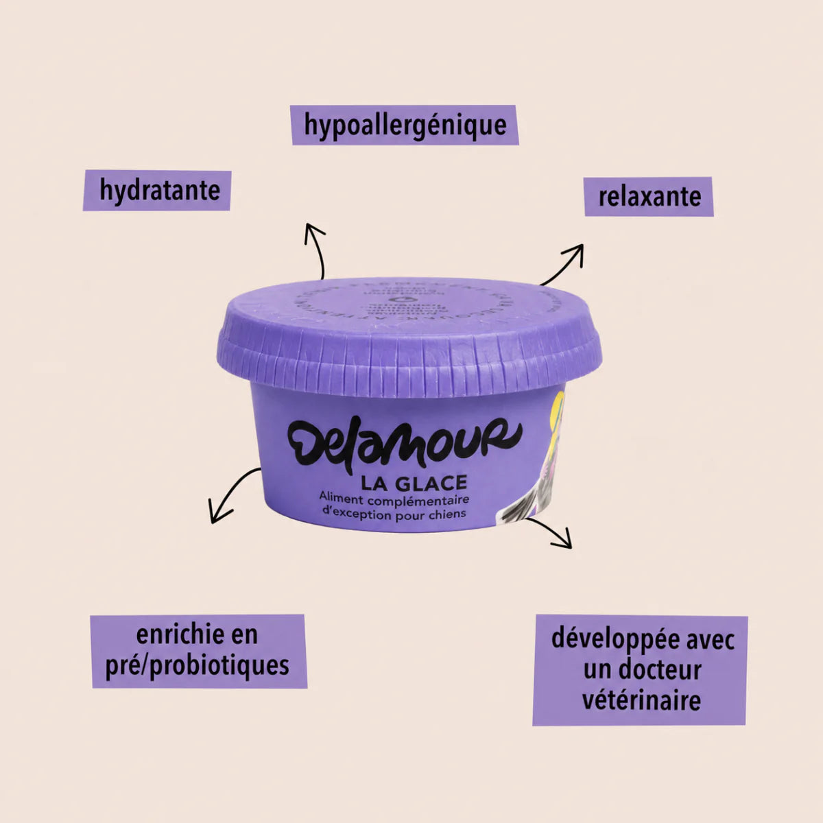 Glace Myrtille de Delamour