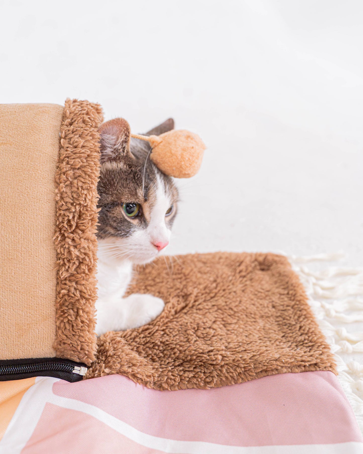 Aire de jeu - Lever du soleil