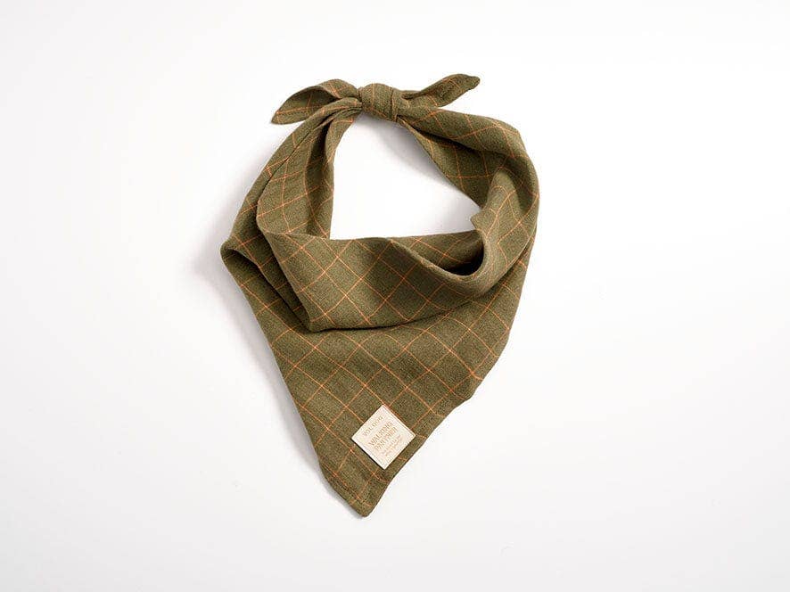 Bandana Citrouille Biscuits