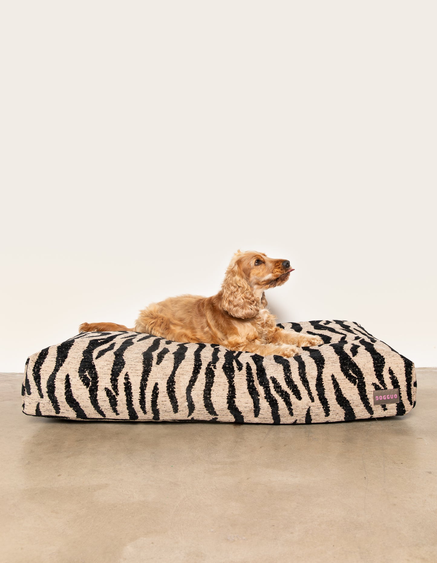 Panier zébre pour chien