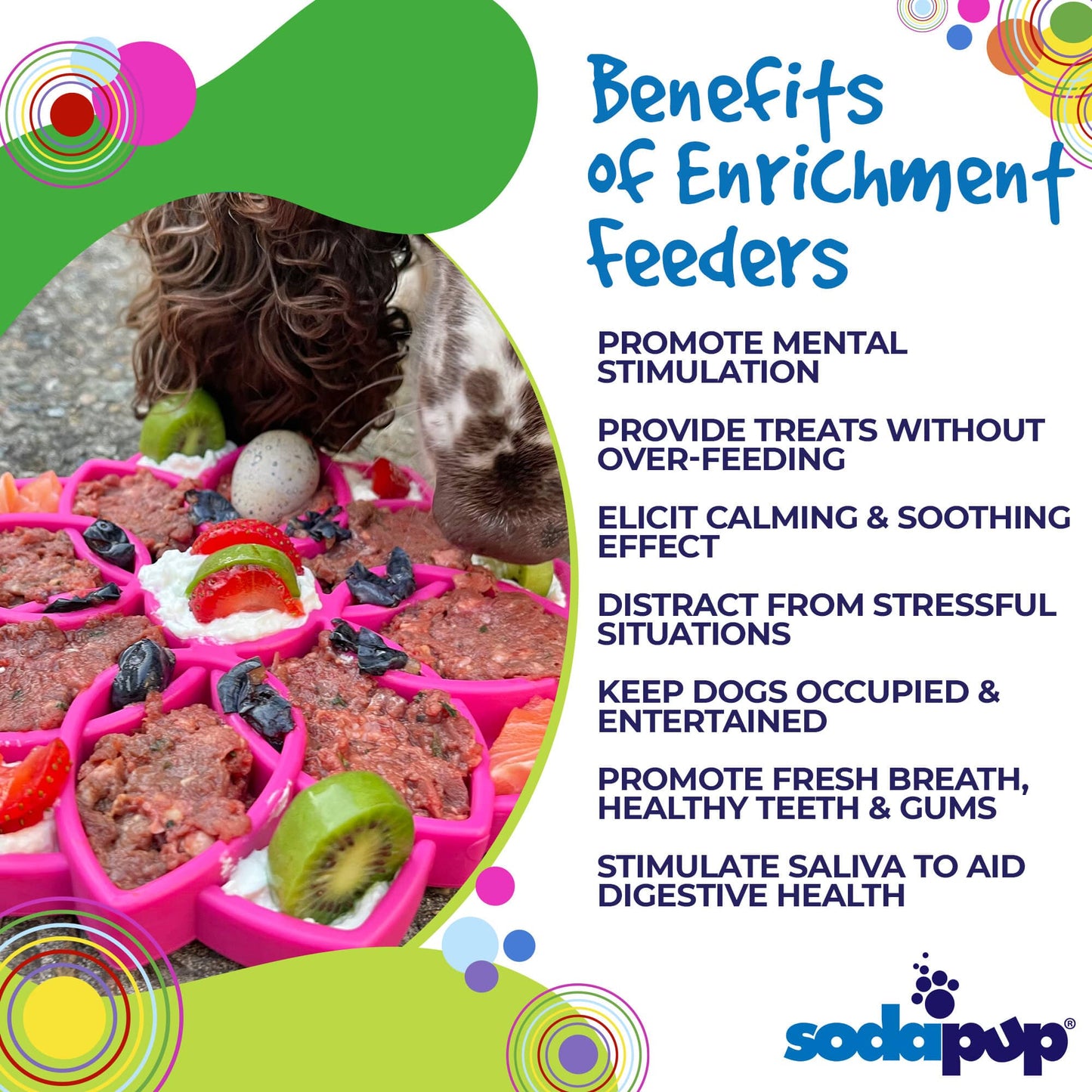 Plateau d'enrichissement Mandala Design