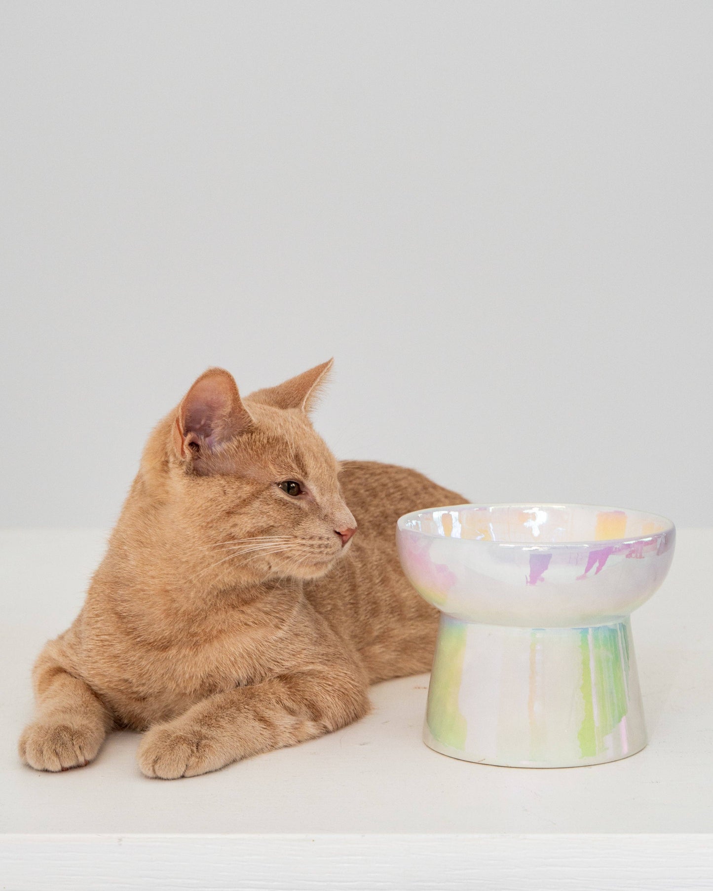 Bol Surélevé en Céramique