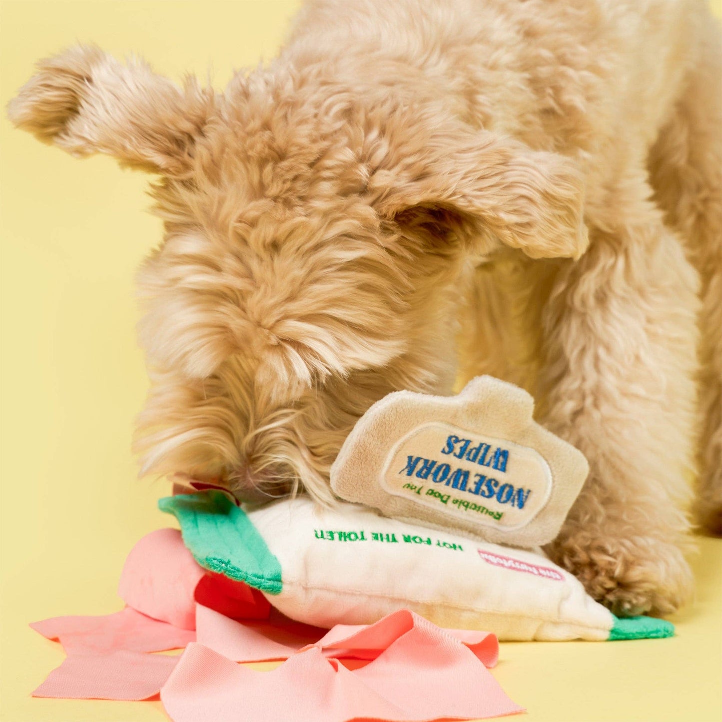 Jouet de fouille - Lingettes Doggo Wipe